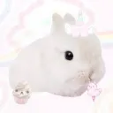 fuwa
