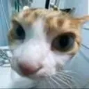 El SótanoVerso Discord Server Icon