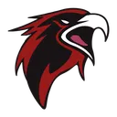 Falcon Photography