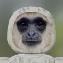 🐵-PRIMATE PERIL-🐵