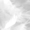 @ANGELIX 🕊 ! social discord icon