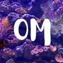 Oceania meet    Discord Server Icon