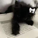 :3