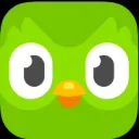 Duolingo ✅ discord icon