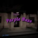 Purple Haze Club