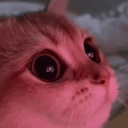 gam's cave Discord server icon