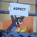 Aspect