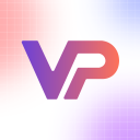 VsePay icon
