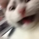 Какчюс