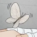 /tians appeal + promo server