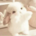 BunBun Design