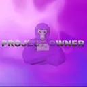 Project owner
