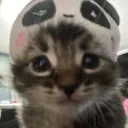 lost paradise Discord Server Icon