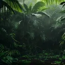 Silkycord Discord Server Icon