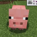 Jimmy Bot