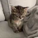 Goofy gamers Discord Server Icon