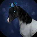 𝙼𝚘𝚘𝚗 𝙱𝚎𝚎𝚜 𝙾𝚂