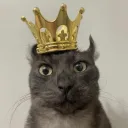 ZAZA’S KINGDOM