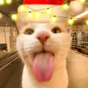 🎄🌠⭐Goobers United!⭐🌠🎄