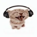 ･ ｡ﾟ☆Hummy's Headspace