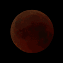 Lunar Terrace™