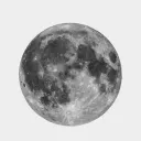 ⁵⁰⁵ discord icon