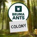 BRUMA Ants Colony