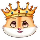 RICO_TV1