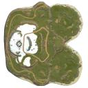 SAVAS EVOLVED