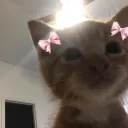 princess ✦ | girls only server discord icon