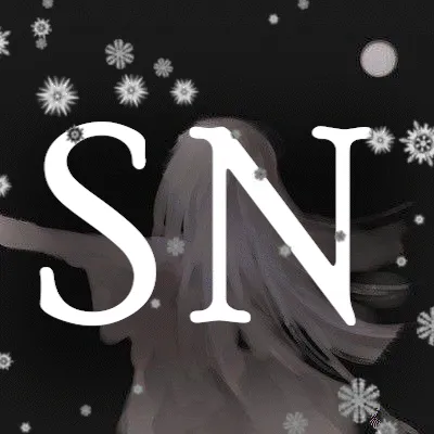 𝐒𝐭𝐚𝐫𝐫𝐲𝐍𝐢𝐠𝐡𝐭 ❄ — мониторинг Discord сервера, статистика и рейтинг