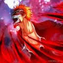 Bleach: Don’t Fear The Reaper discord icon
