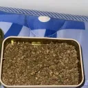 420 WORLD