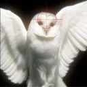 Evoke Discord Server Icon