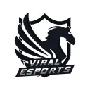 VIRAL ESPORTS