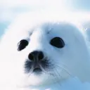 のいさばっ！