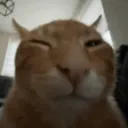 𝙏𝙝𝙚 𝙝𝙖𝙣𝙜𝙤𝙪𝙩 𝙨𝙚𝙧𝙫𝙚𝙧