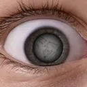 𝙒𝙄𝙎𝙃𝙄𝙉𝙂 𝙊𝙉 𝘼 𝙎𝙃𝘼𝙍𝘿
