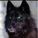 Wolf RolePlay National Parks Discord Server Icon