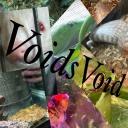 𝓥𝓸𝓲𝓭𝓼𝓥𝓸𝓲𝓭
