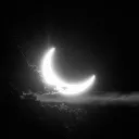 NightZone discord icon