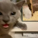 Fight club Discord Server Icon