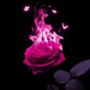 𝓒𝓪𝓵𝓪𝓶𝓲𝓽𝔂𓆩ꨄ𓆪's icon