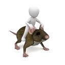 musty rats Discord Server Icon
