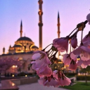Ayat al-Nur |  آية النور icon