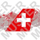 Join new server! FlySWISS