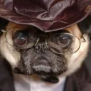 PUGG's Development Server