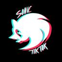 Sonic Tiktok Hideout‧+ ̊ (SHUT DOWN INDEFINITELY) Discord Server Icon