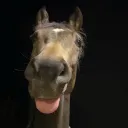 𝐂𝐑𝐀𝐂𝐊𝐄𝐑𝐎𝐒