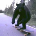 Chainkill's Bar discord icon